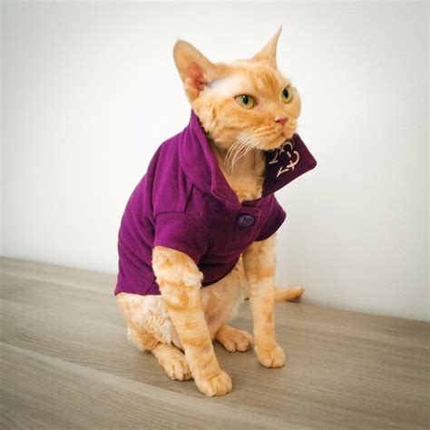 Cat Clothes | Cat Clothing | Clothes for Cats | Cat-toure | Devon Rex ...