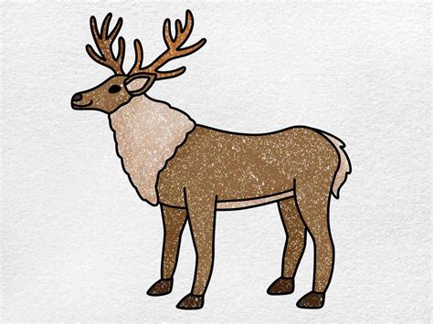 How to Draw a Reindeer - HelloArtsy