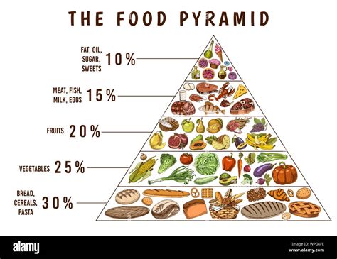 Healthy food plan pyramid. Infographics for Balanced Diet percentage ...