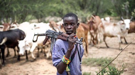 Facts About The Fulani Herdsmen And Their Attacks