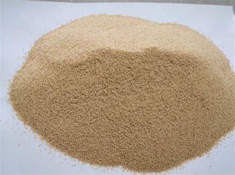 Sodium Alginate Powder at best price in Ahmedabad by Varcas ...