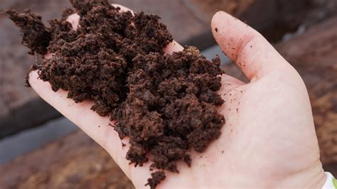 What is peat? - International Peatland Society