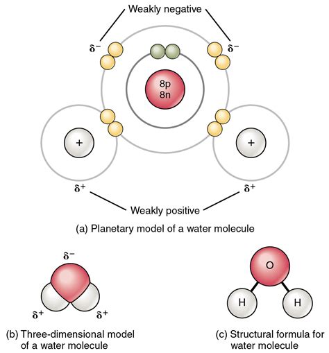 Diagram Of A Molecule