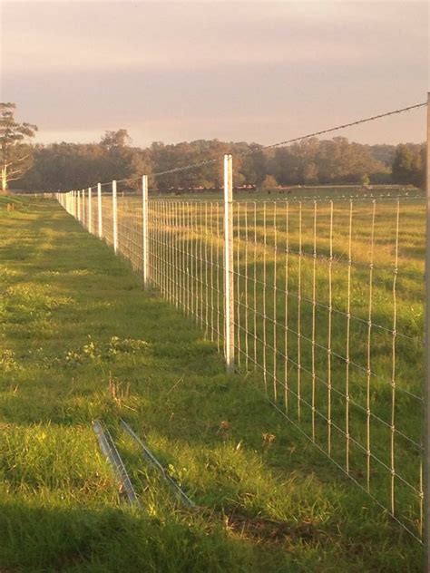 Cattle Fence - Gingin WA - G.T.H - FENCiT