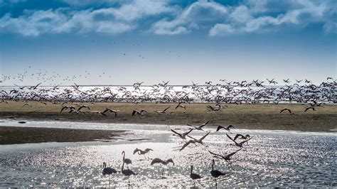 Walvis Bay Lagoon | The Walvis Bay Lagoon is considered one … | Flickr