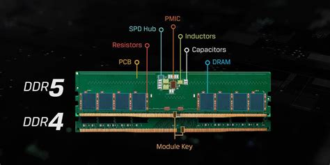 Ddr5 Vs Ddr4 Will Ddr5 Ram Work On Ddr4 Motherboard | Hot Sex Picture