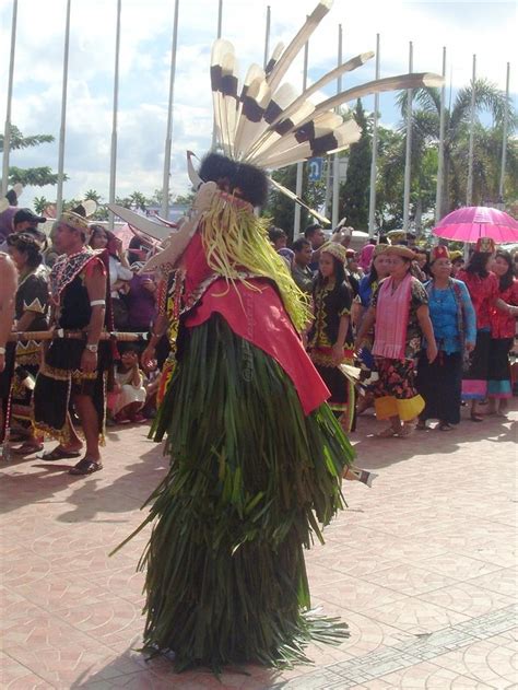 Mahakam Festival 2012: Gerak dan tari (Upacara HUDOQ)