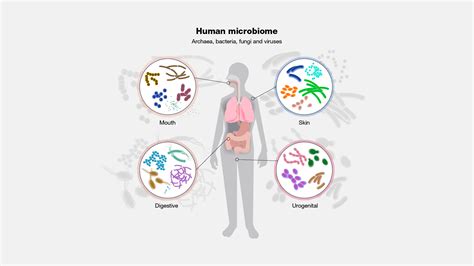 Microbiome