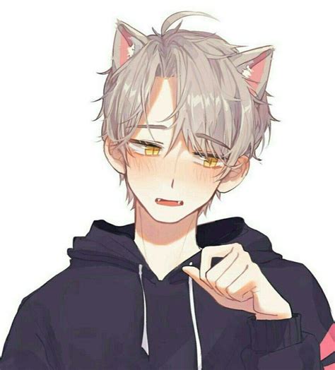 Anime Cat Boy Wallpaper