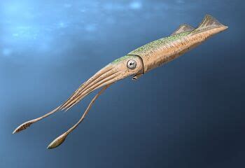 Tusoteuthis | ARK: Survival Evolved Wiki | Fandom