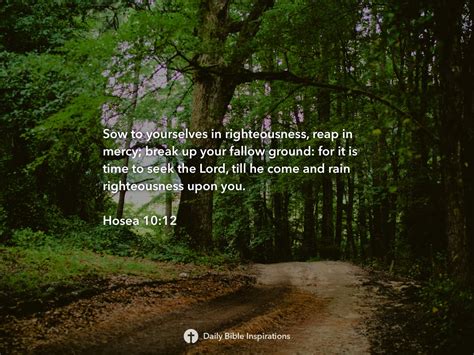 Hosea 10:12 | Daily Bible Inspirations