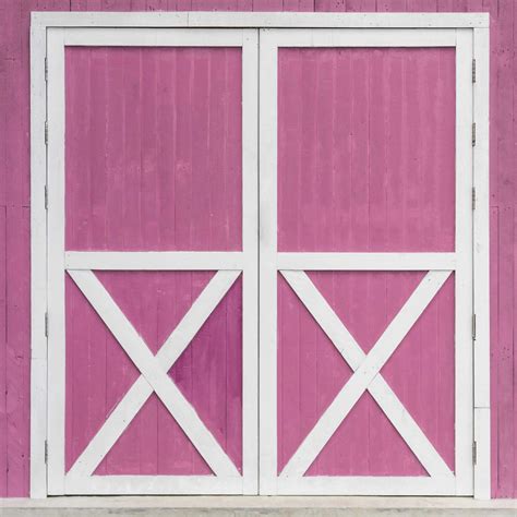 WALL37 Pink Barn Doors – Studio Backdrops