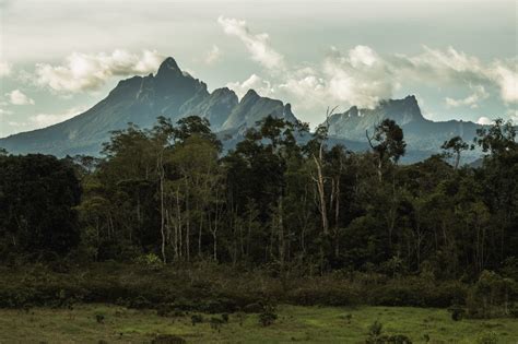 Pico da Neblina, ponto mais alto do Brasil, é destino a ser desbravado ...