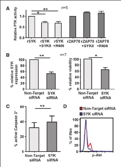 Validation of SYK inhibitor specificity and SYK gene silencing. A ...