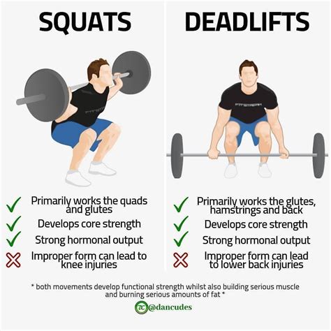 √ Deadlift Vs Squat Weight