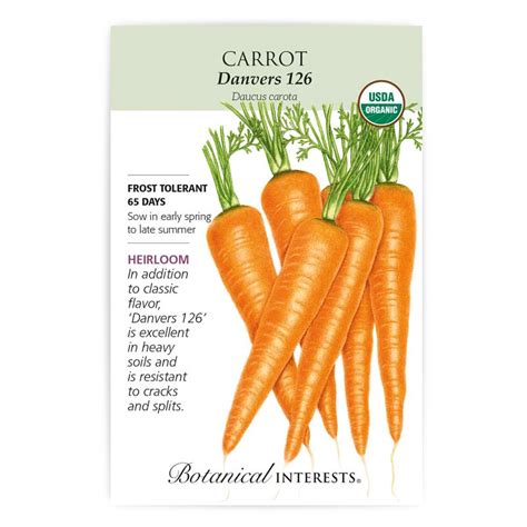 Danvers 126 Carrot Seeds | Carrots, Seeds, Organic seeds