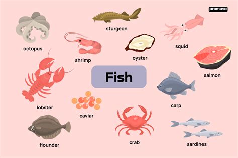 Exploring Types Of Fish With This English Vocabulary