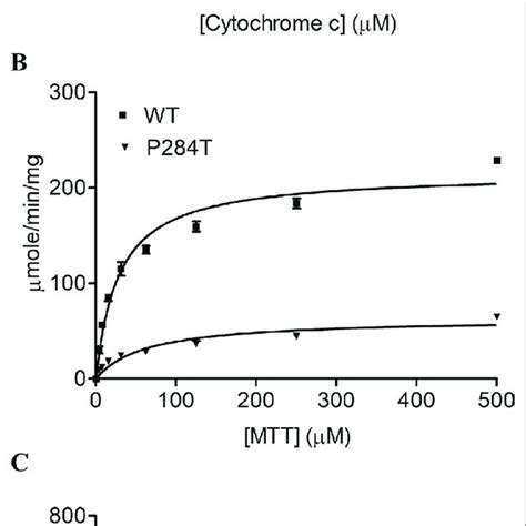 | Cytochrome c, MTT, and Ferricyanide reduction assay with WT and ...