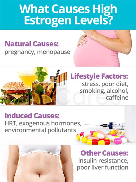 What Causes High Estradiol Levels in Males?💗 Explore o fascinante ...