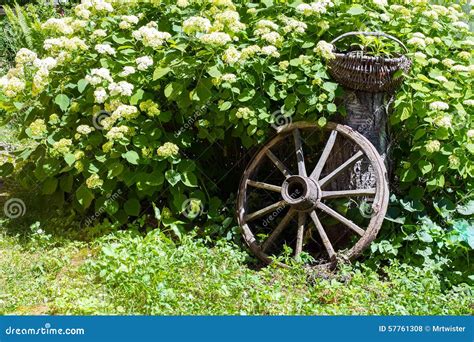 Old Wagon Wheel Garden Decoration Stock Photo - Image of decoration ...