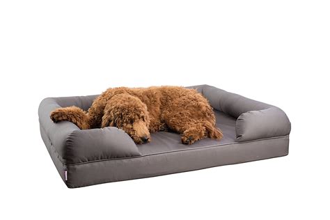 Top 10 Extra Large Dog Beds With Memory Foam