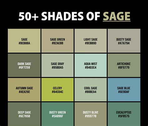 50+ Shades of Sage Color (Names, HEX, RGB, & CMYK Codes) – CreativeBooster