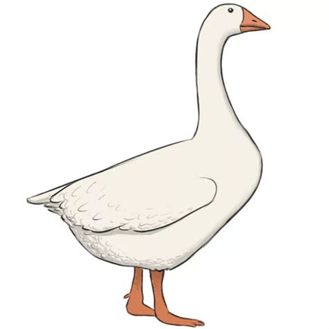 How to Draw a Goose - Easy Drawing Art