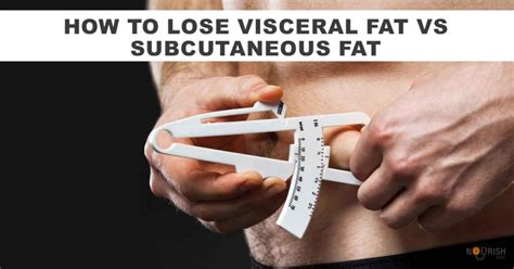 How to lose visceral fat vs subcutaneous fat - NourishDoc