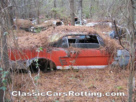 Sure would like to know where this junkyard is...... - Vintage Mustang ...