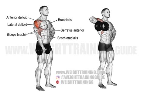 Dumbbell one-arm upright row exercise instructions and video