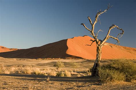 Namibia Rundreisen: Gruppenreise & Privat | Vögele Reisen