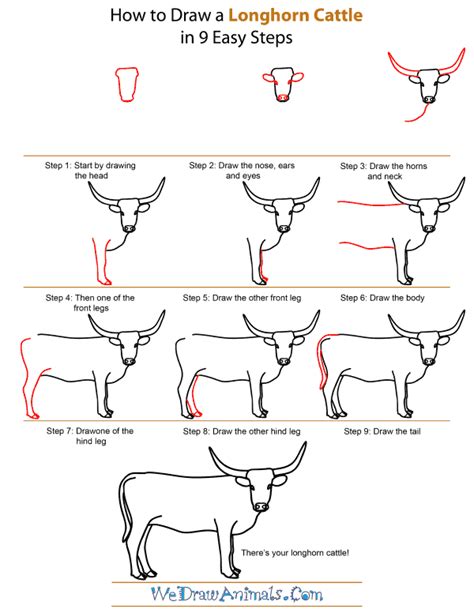 How to Draw a Longhorn Cattle