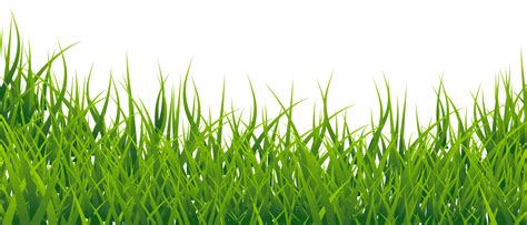 Grass Vector PNG Image - PurePNG | Free transparent CC0 PNG Image Library