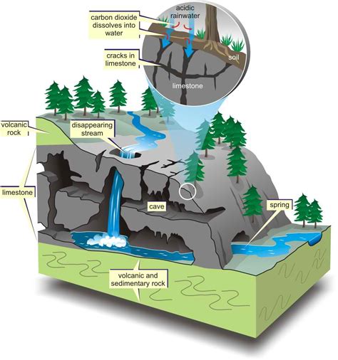 Speleogenesis: How were caves and cenotes formed? | Karst Geochemistry ...