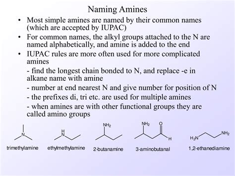 PPT - Structure and Classification of Amines PowerPoint Presentation ...