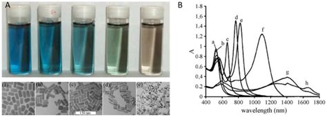 Optics | Free Full-Text | Gold Nanoparticles as Contrast Agents in ...