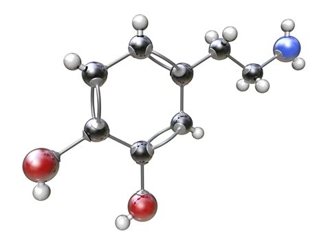 Bonds Definition and Examples in Chemistry