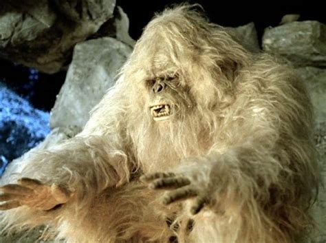 Yeti mystery solved: Himalayan yeti may be a sub-species of brown bear ...