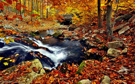 🔥 [50+] Autumn Waterfall Free Wallpapers | WallpaperSafari