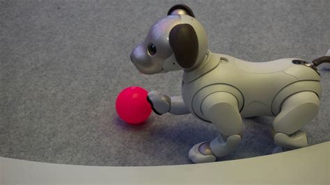 Hands on: Sony Aibo review | TechRadar