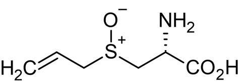 L-Alliin, Hydroxyl radical scavenger (ab141896) | Abcam