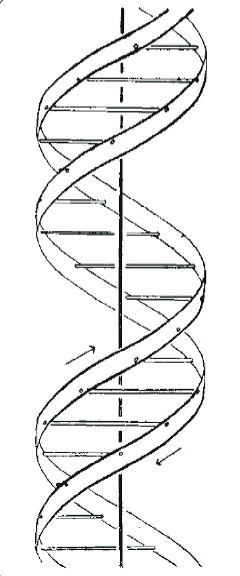 Dna Helix Black And White