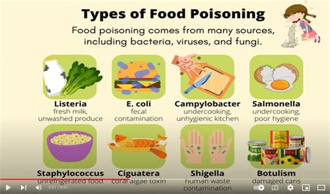 Food poisoning: Symptoms and causes- Authentic and scientific ...