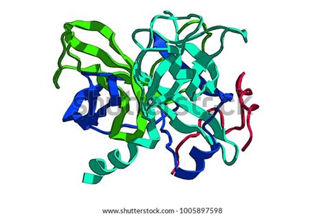 Molecular Structure Protein Thrombin 3d Rendering Stock Illustration ...