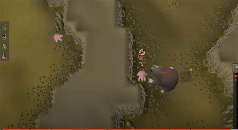 Giant mole guide osrs