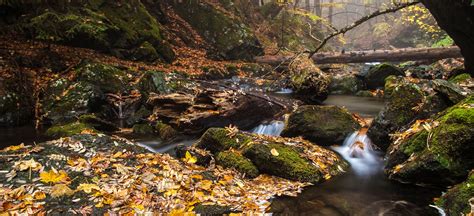 Central Balkan Wilderness 1441 - European Wilderness Society