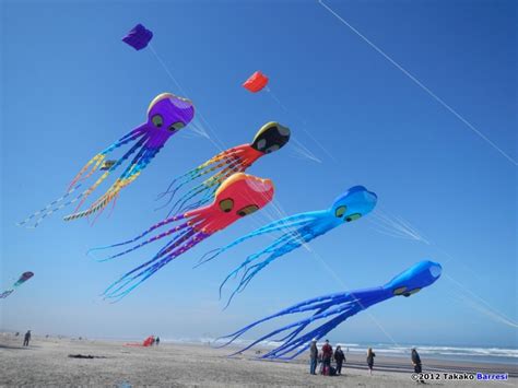 Kite Types | KiteLife®