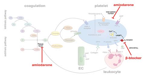 Pleiotropic Antithrombotic Effects of Cardiovascular Drugs