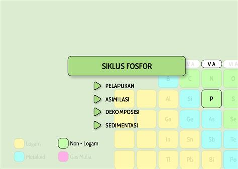 SOLUTION: Biologi daur biogeokimia siklus fosfor - Studypool