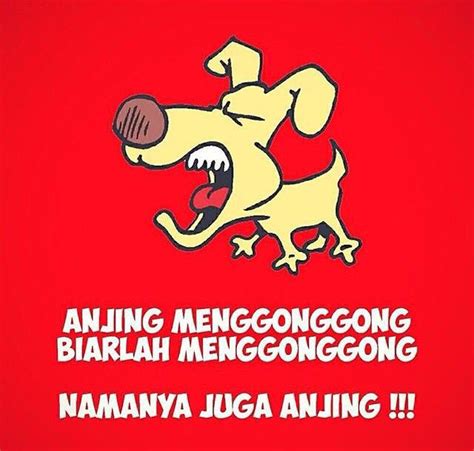 Anjing Marah Meme - Gambar Anjing Lucu Meme | Kumpulan Gambar Bagus ...